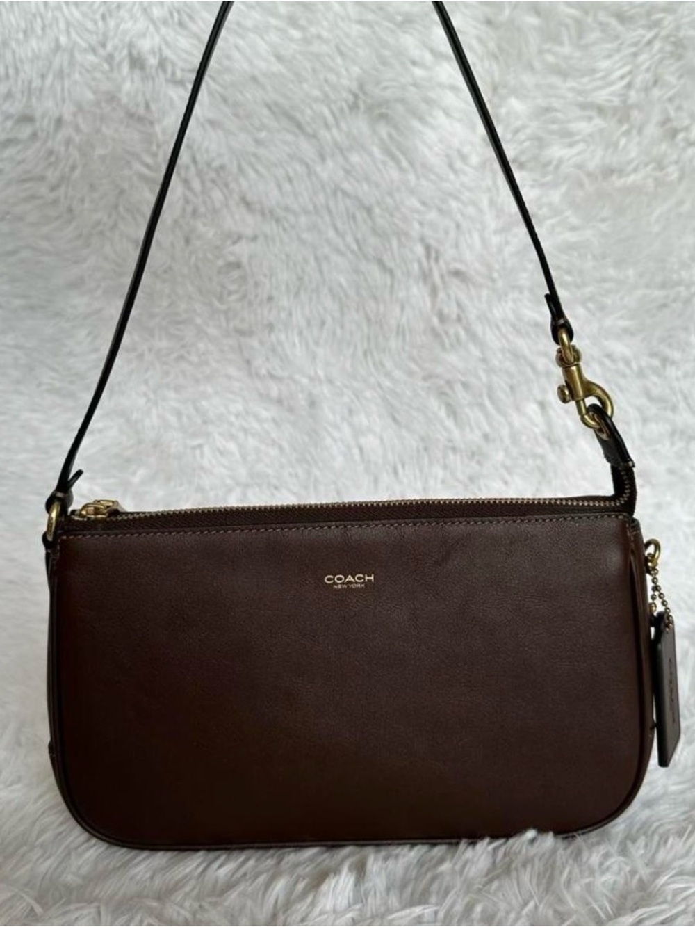 🤍Coach Plaza Bag in Maple